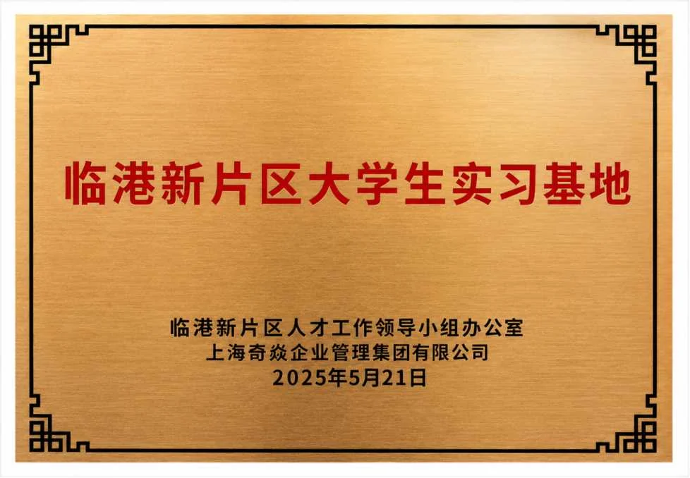 临港新片区大学生实习基地